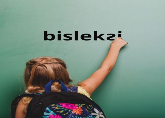 Solaklık ve Disleksi